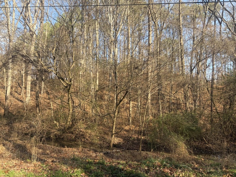 0 Rauschenberg Rd NW, Dalton, GA 30720