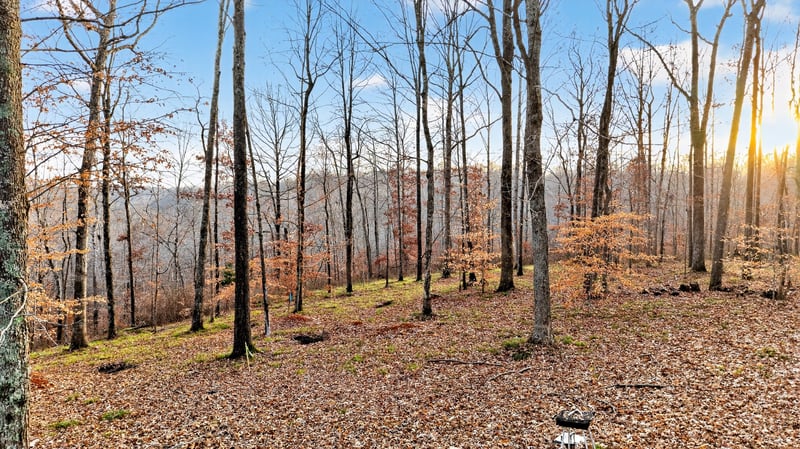 100 Waynoe Rd, Ashland City, TN 37015