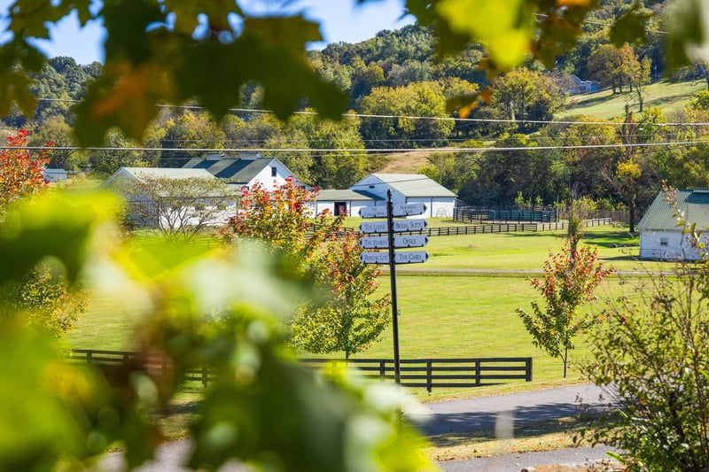 2133 Allisona Rd, Eagleville, TN 37060