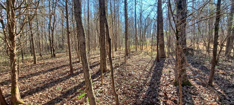 0 Nw Piney Rd, Dickson, TN 37055