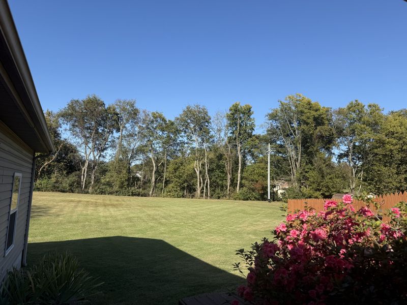107 Ellington Dr, Franklin, TN 37064