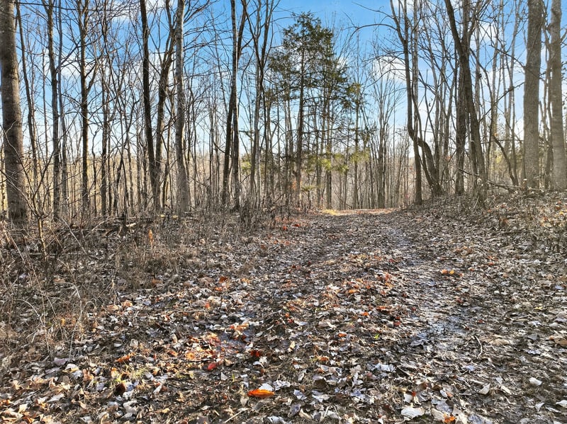 0 Garrison Branch Rd, Cottontown, TN 37048
