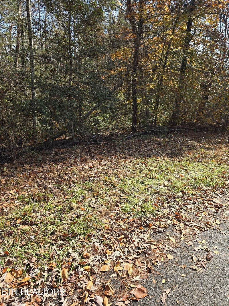 0 Montevallo Rd Lot 9, Sevierville, TN 37876