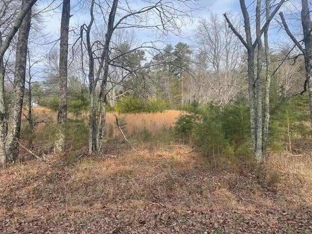2484 Durham Rd, Rising Fawn, GA 30738