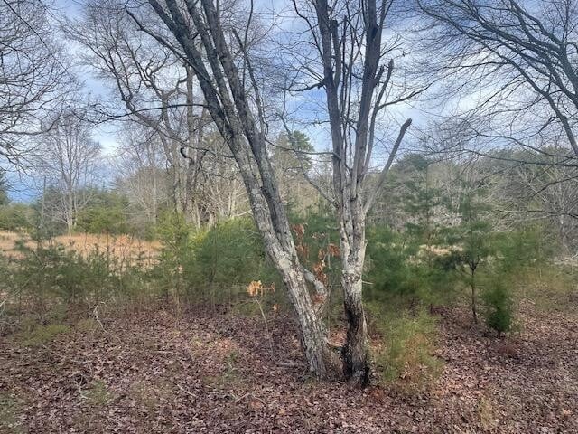 2484 Durham Rd, Rising Fawn, GA 30738