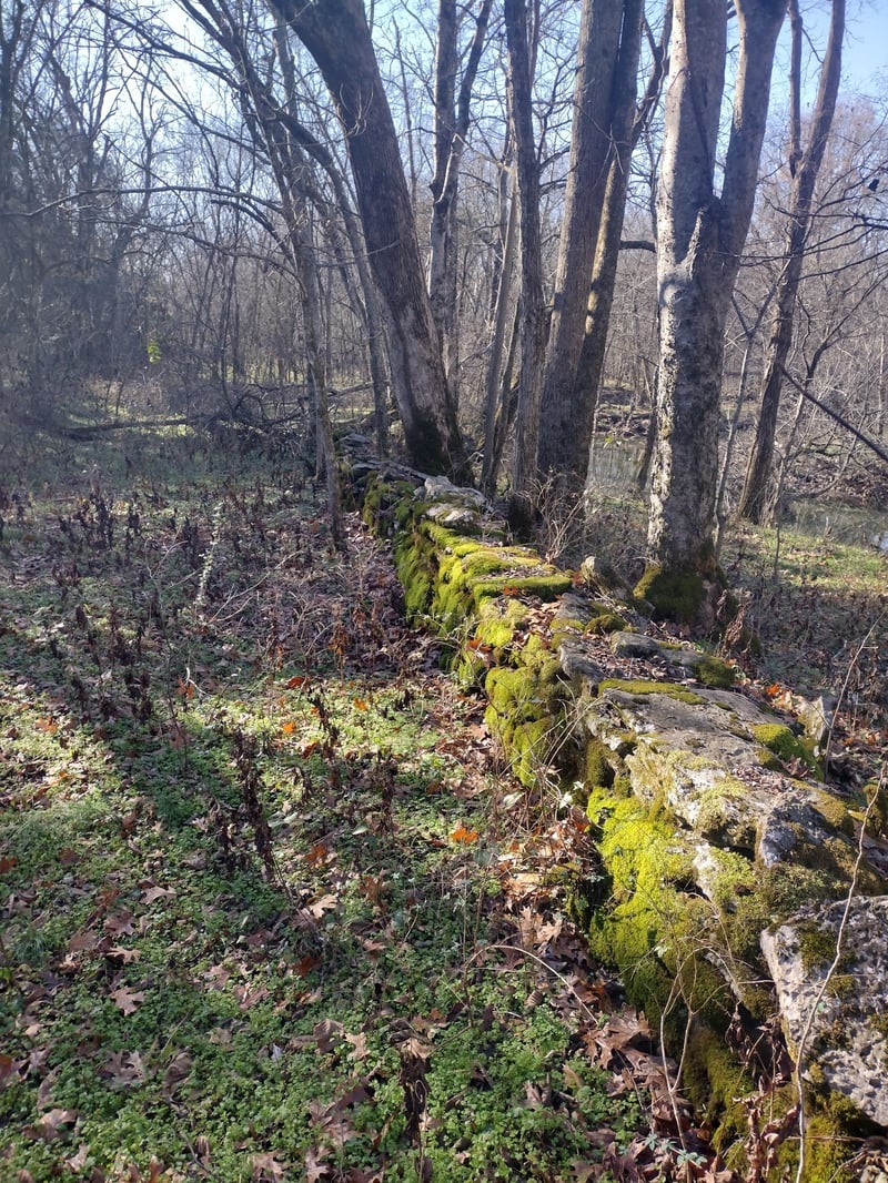980 Baldy Ford Rd Lot 3, Lascassas, TN 37085