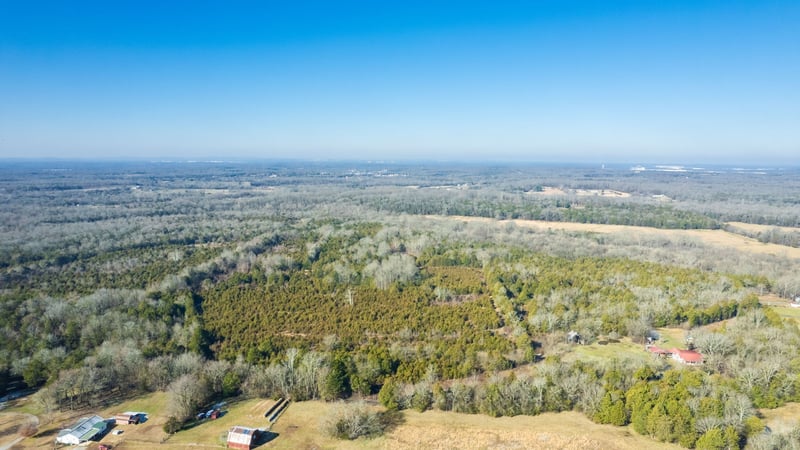 980 Baldy Ford Rd Lot 5, Lascassas, TN 37085