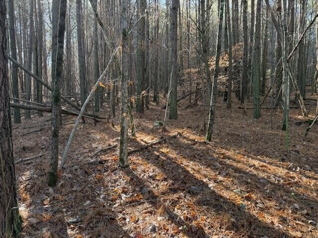 9 Hwy 11 Lot 9, Valley Head, AL 35989