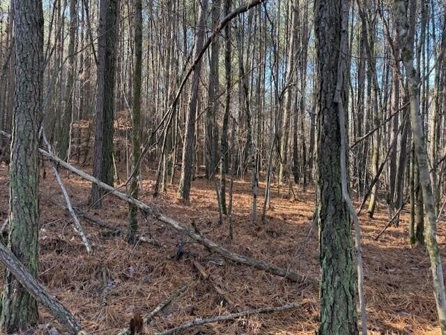 9 Hwy 11 Lot 9, Valley Head, AL 35989