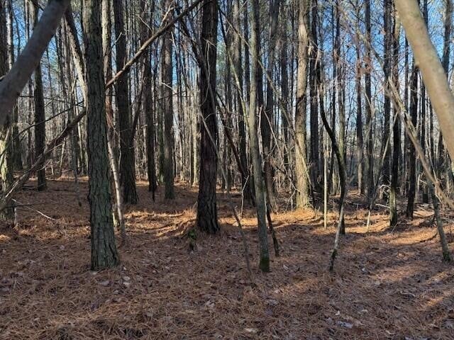 9 Hwy 11 Lot 9, Valley Head, AL 35989
