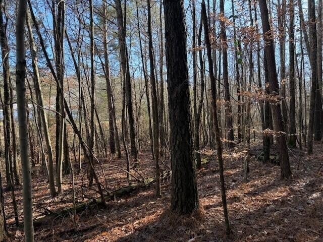 9 Hwy 11 Lot 9, Valley Head, AL 35989