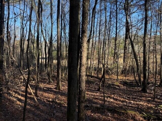 9 Hwy 11 Lot 9, Valley Head, AL 35989