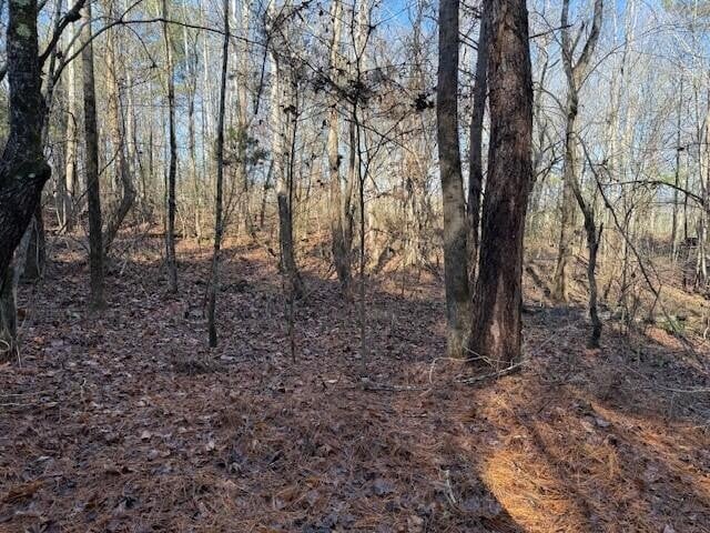 5 County Road 751 Lot 5, Valley Head, AL 35989