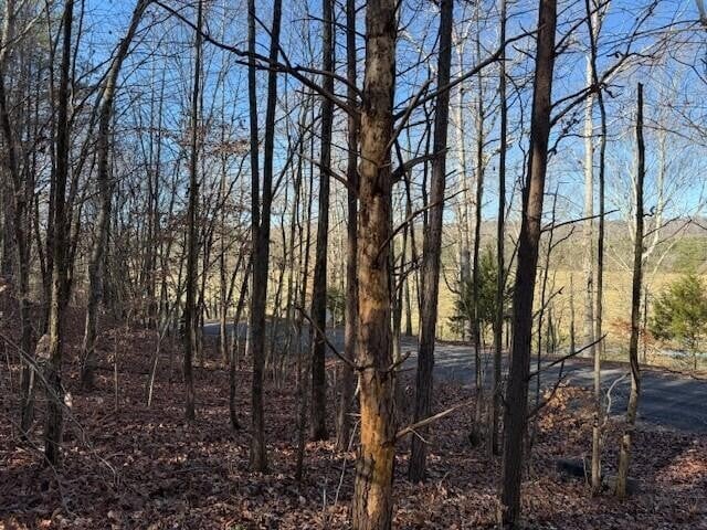 5 County Road 751 Lot 5, Valley Head, AL 35989