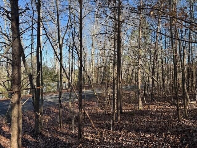 5 County Road 751 Lot 5, Valley Head, AL 35989