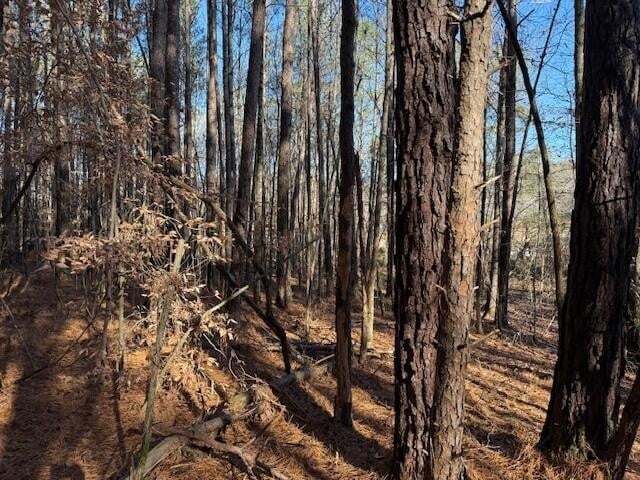 7 Hwy 11 Lot 7, Valley Head, AL 35989