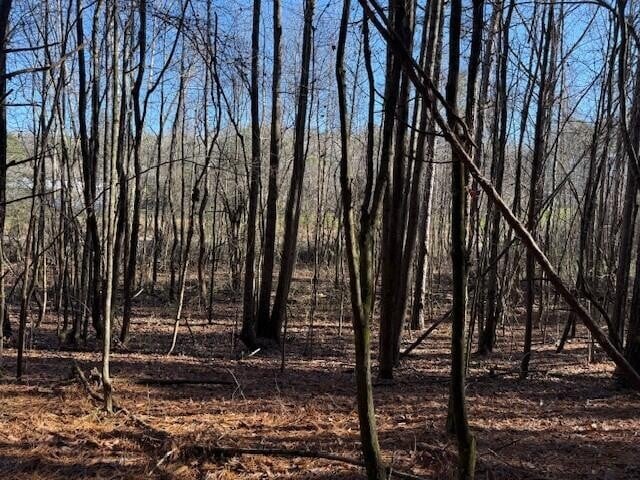 7 Hwy 11 Lot 7, Valley Head, AL 35989