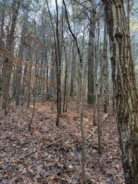 7 Hwy 11 Lot 7, Valley Head, AL 35989