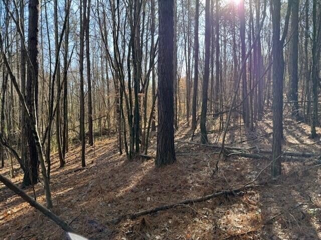 7 Hwy 11 Lot 7, Valley Head, AL 35989
