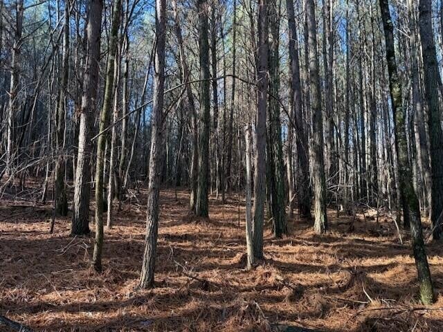 7 Hwy 11 Lot 7, Valley Head, AL 35989