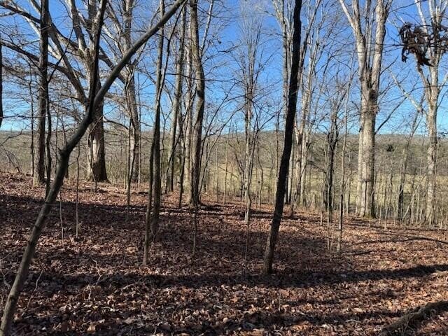 1 County Road 751 Lot 1, Valley Head, AL 35989