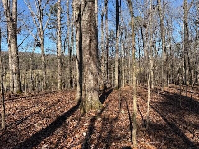 1 County Road 751 Lot 1, Valley Head, AL 35989