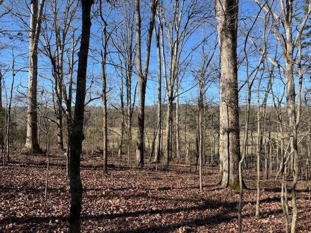 1 County Road 751 Lot 1, Valley Head, AL 35989