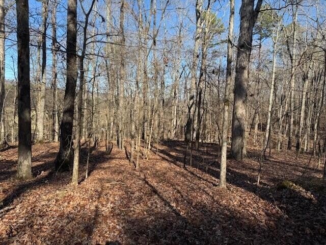 1 County Road 751 Lot 1, Valley Head, AL 35989