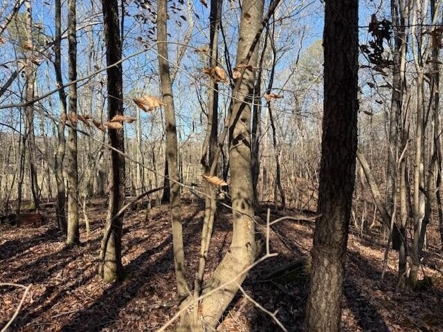 1 County Road 751 Lot 1, Valley Head, AL 35989
