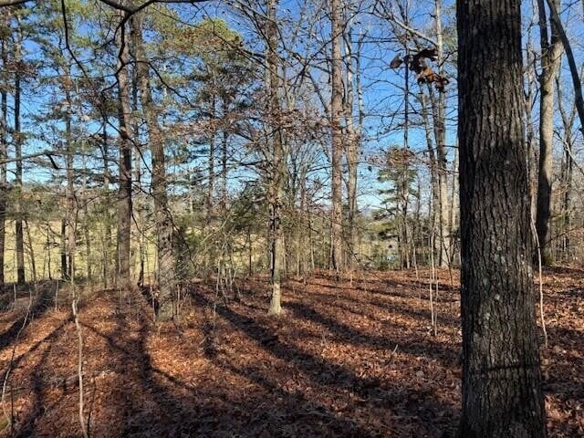 7 County Road 751 Lot 7, Valley Head, AL 35989