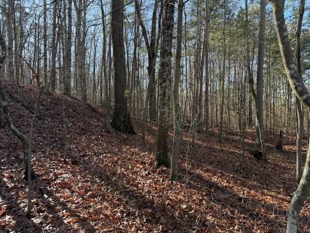 7 County Road 751 Lot 7, Valley Head, AL 35989