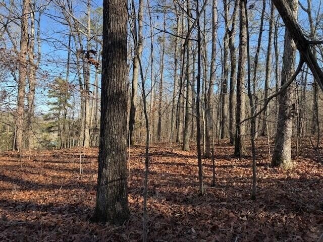 7 County Road 751 Lot 7, Valley Head, AL 35989