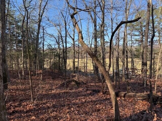 7 County Road 751 Lot 7, Valley Head, AL 35989