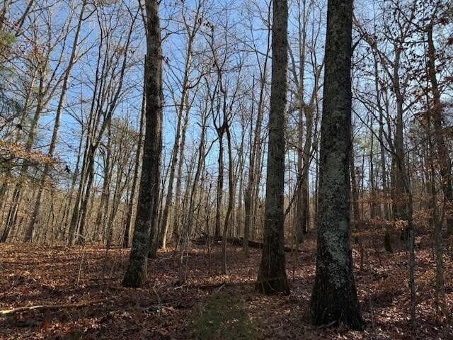 7 County Road 751 Lot 7, Valley Head, AL 35989