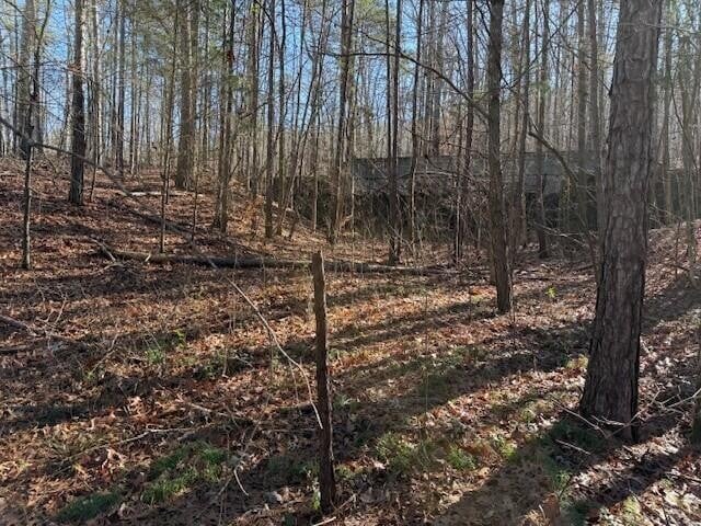 6 County Road 751 Lot 6, Valley Head, AL 35989