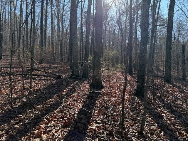 6 County Road 751 Lot 6, Valley Head, AL 35989