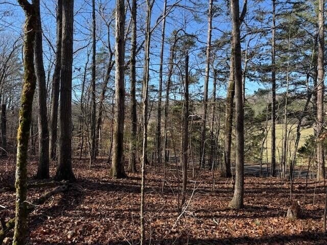 6 County Road 751 Lot 6, Valley Head, AL 35989