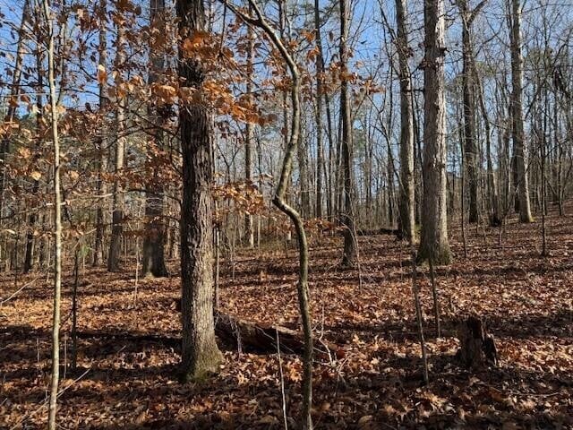 6 County Road 751 Lot 6, Valley Head, AL 35989