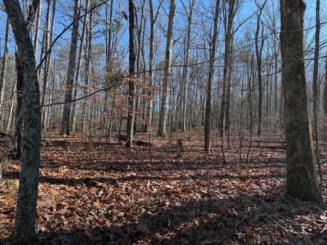 6 County Road 751 Lot 6, Valley Head, AL 35989