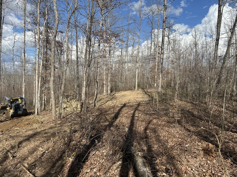 1 Slaughter Rd, Primm Springs, TN 38476