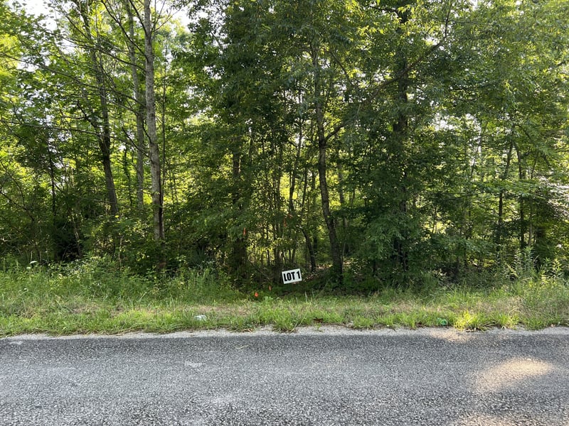 1 Slaughter Rd, Primm Springs, TN 38476