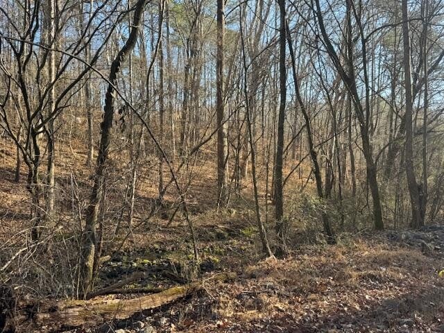 75 Rauschenberg Rd, Dalton, GA 30721