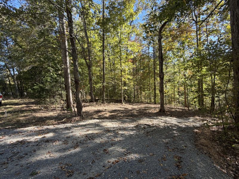 6 Slaughter Rd Lot 6, Primm Springs, TN 38476