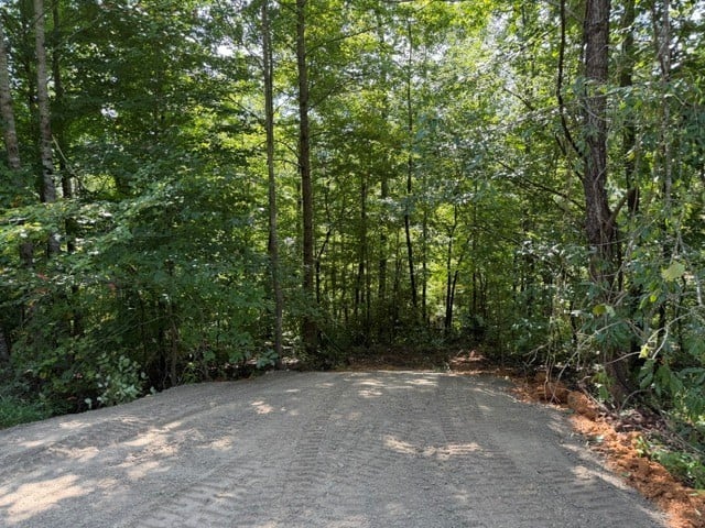 7 Slaughter Rd N Lot 7 & 8, Primm Springs, TN 38476