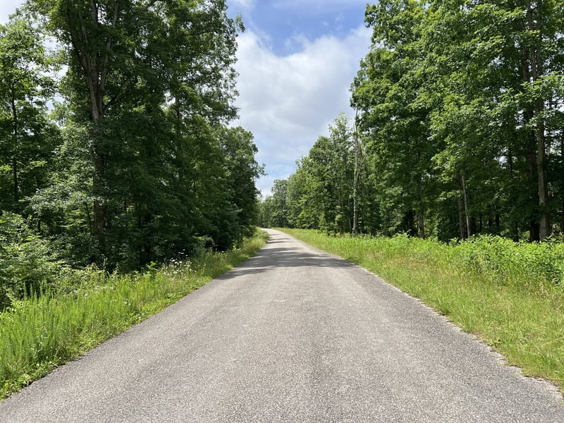 9 Slaughter Rd, Primm Springs, TN 38476
