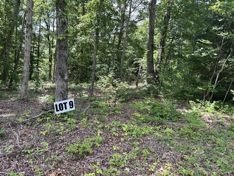 9 Slaughter Rd, Primm Springs, TN 38476