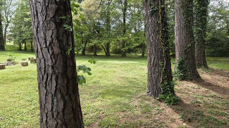 0 Lion Pw, Columbia, TN 38401