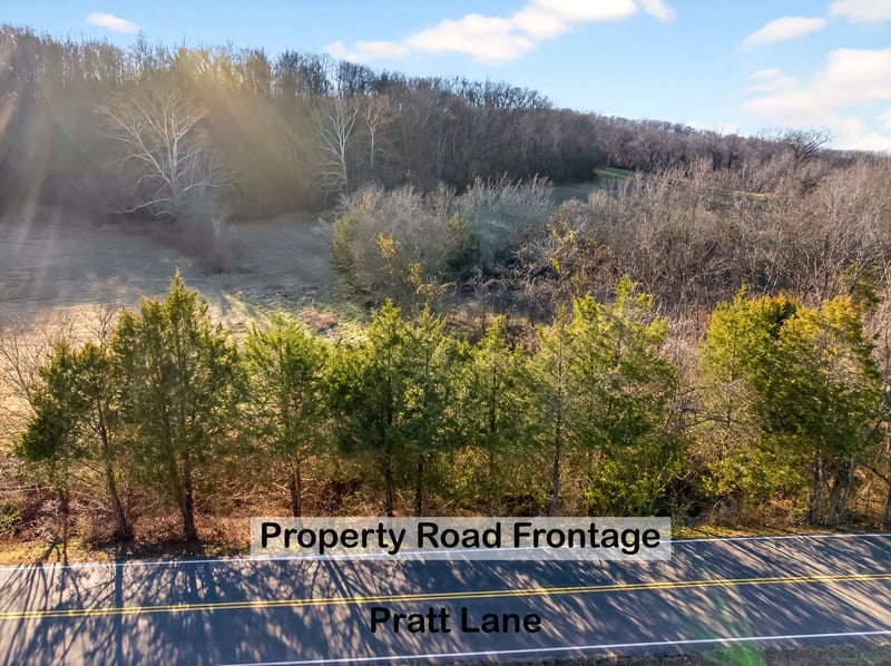 0 Pratt Ln Lot 4, Franklin, TN 37064