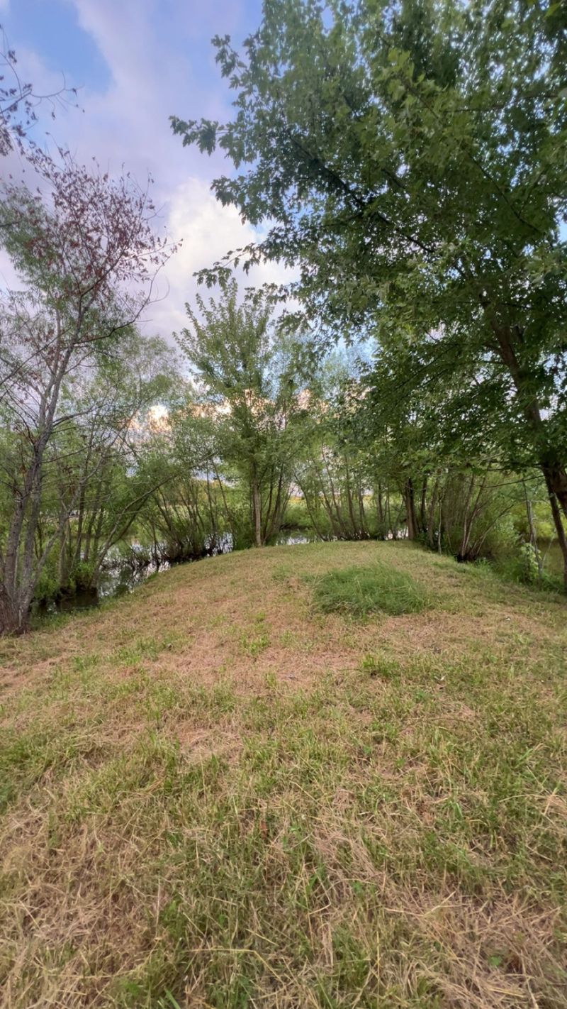 5670 Borthick Rd, Springfield, TN 37172