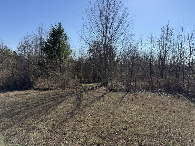 0 Castle Hill Dr, Bryant, AL 35958